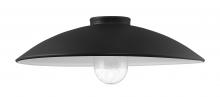 Minka-Lavery 7984-18-66 - RLM - METAL SHADE + GLASS SHADE