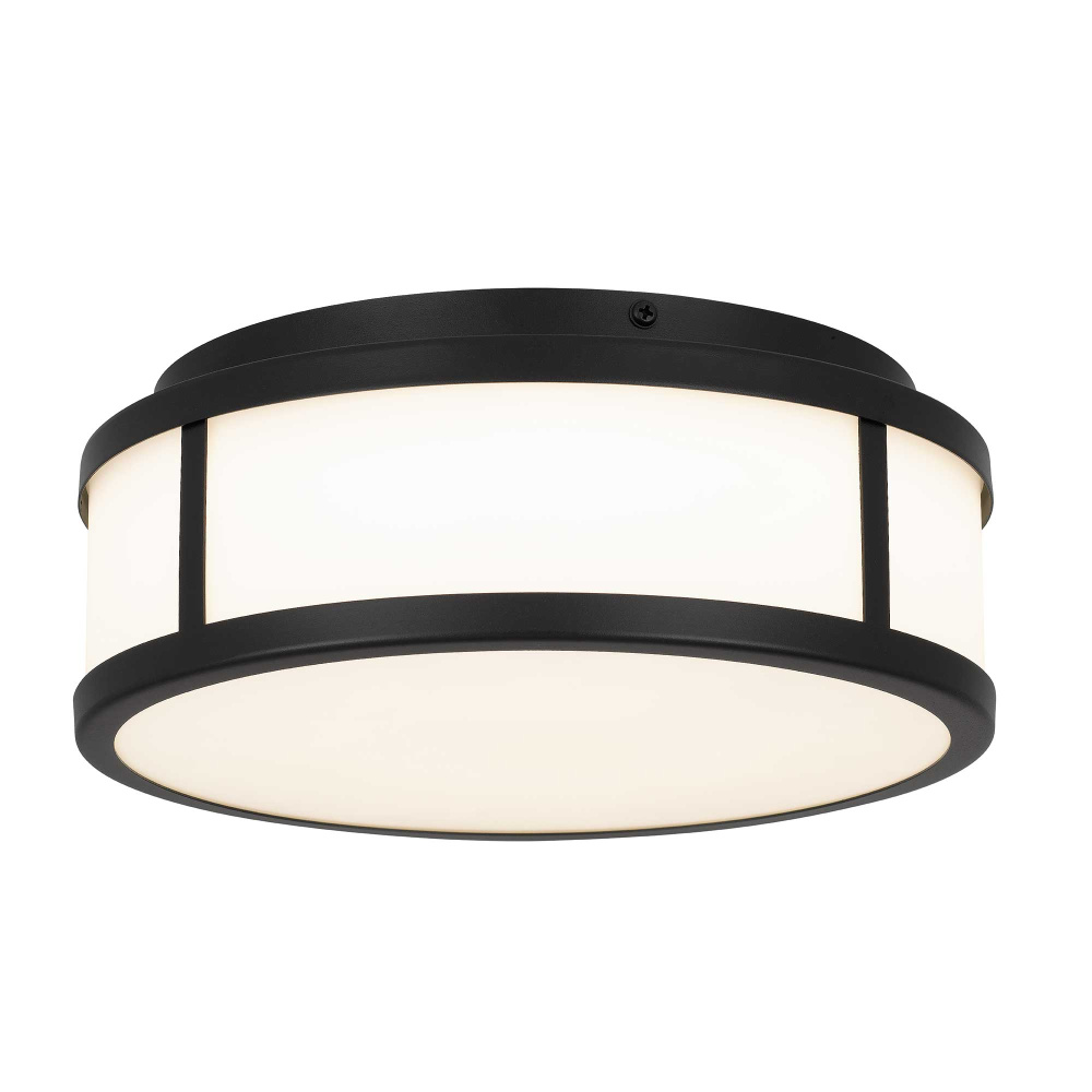 Panel Round LED Flush Mount D10