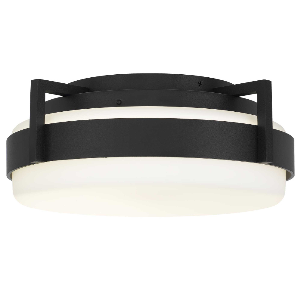 Ted LED Flush Mount D12