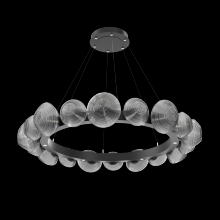 Hammerton CHB0089-48-MB-S-CA1-L1 - Mesa Radial Ring - 48-Inch