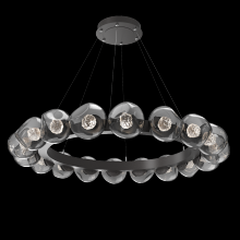 Hammerton CHB0095-48-GP-FS-CA1-L3 - Luna Radial Ring - 48-Inch