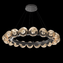 Hammerton CHB0095-48-GP-ZB-CA1-L3 - Luna Radial Ring - 48-Inch