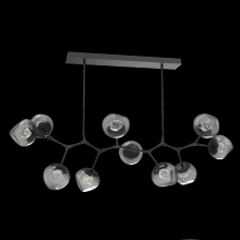 Hammerton PLB0095-BC-MB-ZS-001-L1 - Luna Modern Branch - 10pc