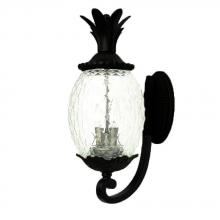 Acclaim Lighting 7501BK - Lanai Collection Wall-Mount 2-Light Outdoor Matte Black Light Fixture