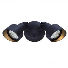 Acclaim Lighting LFL2ABZ - LED Floodlights 2-Light Bronze