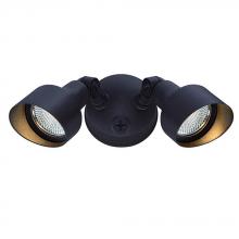 Acclaim Lighting LFL2ABZ - LED Floodlights 2-Light Bronze