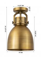 additional image