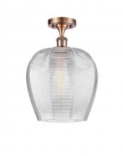 Innovations Lighting 516-1C-AC-G462-12 - Norfolk - 1 Light - 12 inch - Antique Copper - Semi-Flush Mount