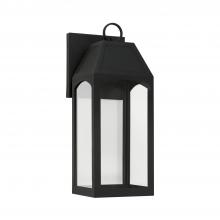 Capital 946311BK-GL - 1 Light Outdoor Wall Lantern