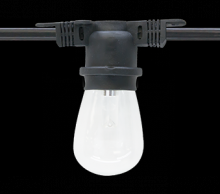 American Lighting LS2-M-24-48-BK - Commerical Grade Light String