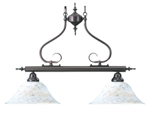 Framburg 9162 SP - Two Light Chandelier from the Black Forest Collection