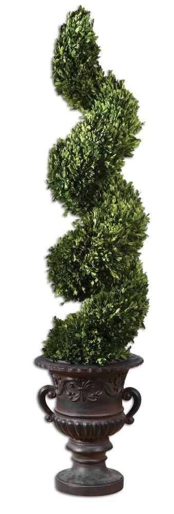Uttermost Spiral Topiary Preserved Boxwood