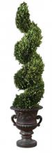 Uttermost 60094 - Uttermost Spiral Topiary Preserved Boxwood