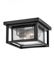 Hinkley 1003BK - Small Flush Mount